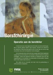 Borstchirurgie: operatie aan de borstklier - UZ Brussel