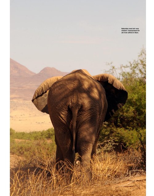 Vagabond Namibia - Trackers