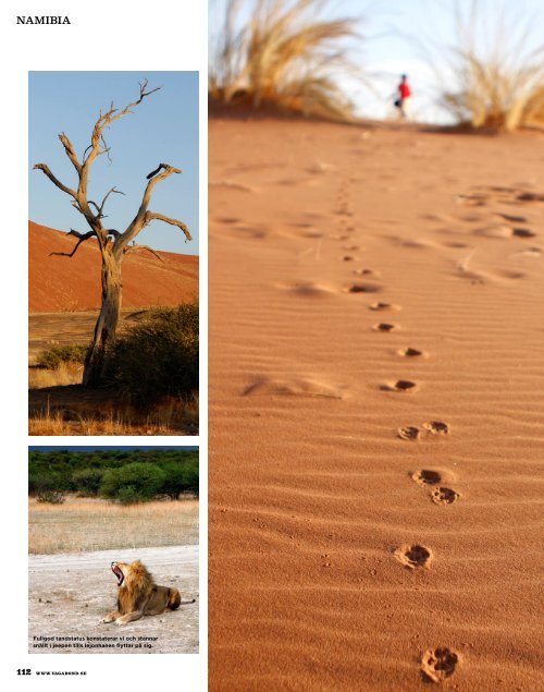 Vagabond Namibia - Trackers