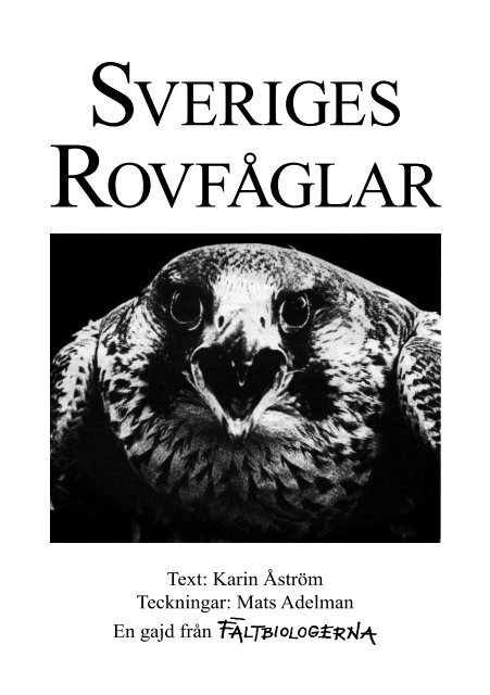 Sveriges rovfåglar.pdf - Fältbiologerna
