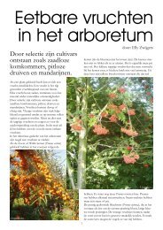 Eetbare vruchten in het arboretum - Arboretum Oudenbosch
