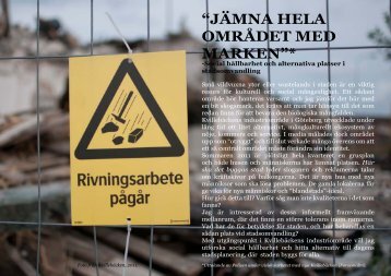 bakgrund till projektet(teoretisk studie)