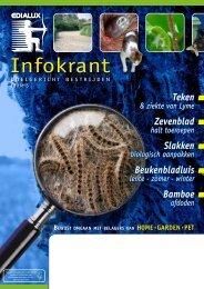 Infokrant - Marechal