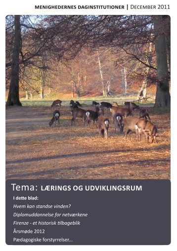 Tema: LÆRINGS OG UDVIKLINGSRUM - MDI