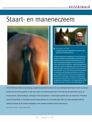 Staart- en maneneczeem - Dierenartsenpraktijk Moergestel