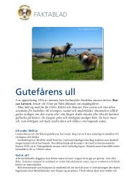 Gutefårens ull