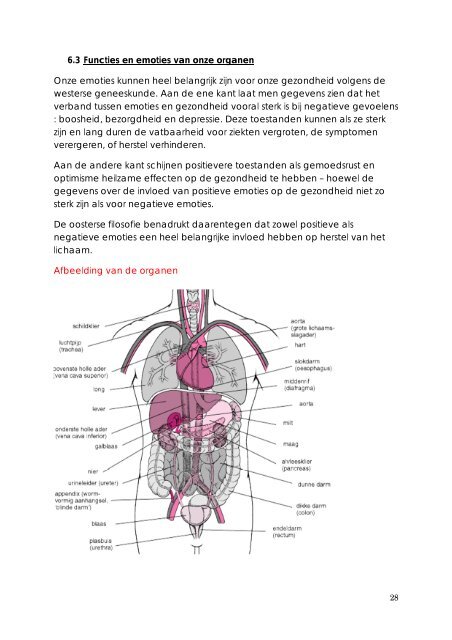 de pfd - Cranio Sacraal eindwerken