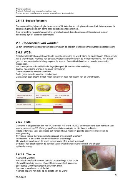 Theorie wondzorg