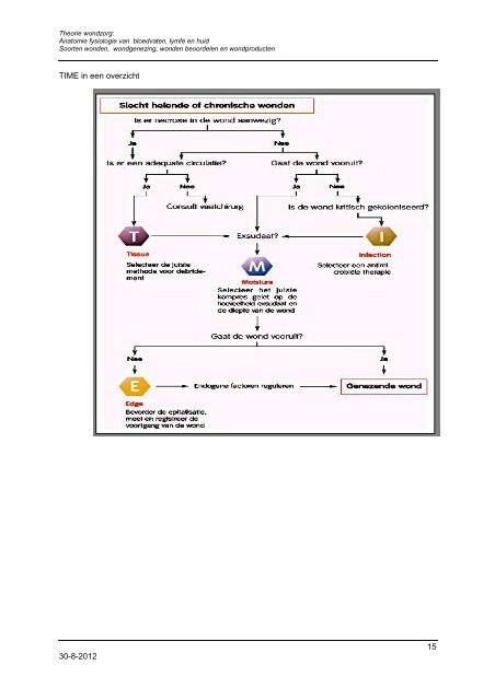 Theorie wondzorg