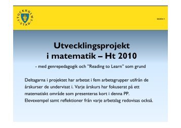 Genrepedagogik och matematik, exempel från de deltagande skolorna