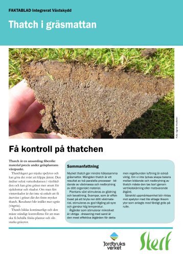 thatch i gräsmattan - STERF