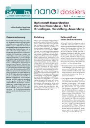 Kohlenstoff-Nanoröhrchen (Carbon Nanotubes) - Zu epub.oeaw ...