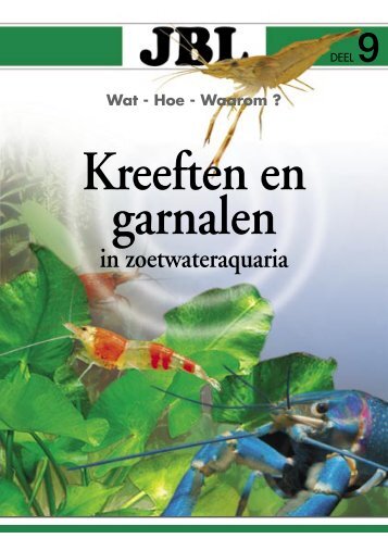 garnalen - Dierenspeciaalzaak Amazona Leerdam