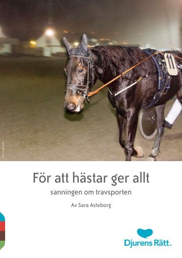 För att hästar ger allt - sanningen om travsporten - Djurens Rätt