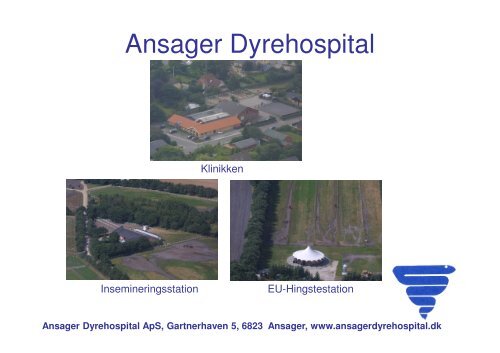 Handelsundersøgelse problemstillinger.pdf - Ansager Dyrehospital ...