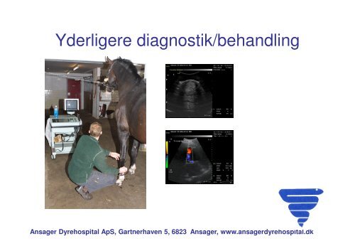 Handelsundersøgelse problemstillinger.pdf - Ansager Dyrehospital ...