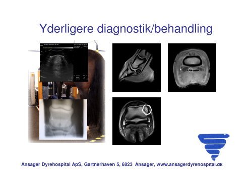 Handelsundersøgelse problemstillinger.pdf - Ansager Dyrehospital ...