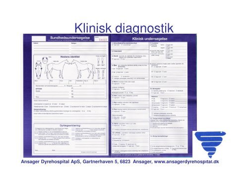 Handelsundersøgelse problemstillinger.pdf - Ansager Dyrehospital ...