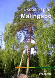3. Naturvårdsmål i Ekopark Malingsbo - Sveaskog