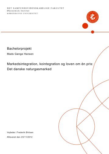 Det danske naturgasmarked