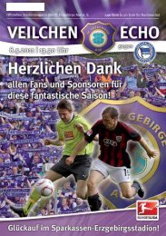 (Spiel-)Fäden, liebe „Veilchen”… - FC Erzgebirge Aue