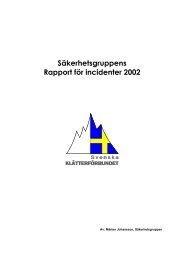 Incidentstatistik 2002 - Svenska Klätterförbundet