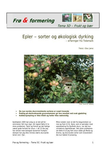 Epler - sorter og økologisk dyrking - erfaringer fra Telemark - Agropub