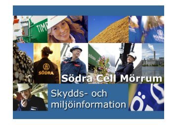 Södra Cell Mörrum - SSG