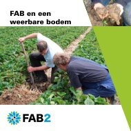 Brochure FAB en een weerbare bodem - Spade