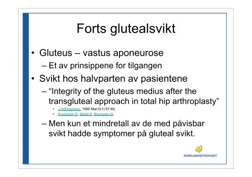 Cato Kjærvik, overlege kir/ort klinikk, Nordlandssykehuset Vesterålen