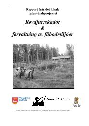 Rovdjursskador & förvaltning av fäbodmiljöer - GävleBorgs ...