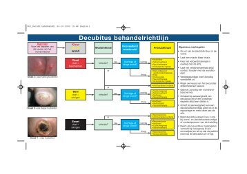 Behandel en preventierichtlijn decubitus - BTSG