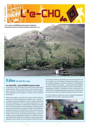 e-CHO n° 3 - Amicale 17 RGP