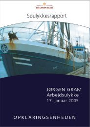 JØRGEN GRAM - Arbejdsulykke den 17. januar ... - Søfartsstyrelsen