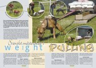 De är hundvärldens atleter. Musklerna spelar under skinnet. När ...