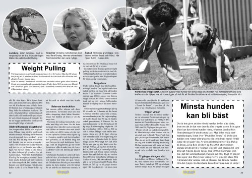 De är hundvärldens atleter. Musklerna spelar under skinnet. När ...