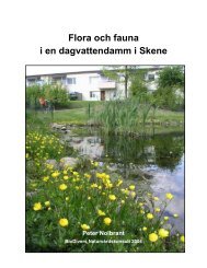 2004. Flora och fauna i en dagvattendamm i Skene (500 ... - Biodivers