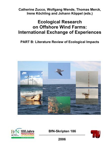Ecological Research on Offshore Wind Farms: International ...
