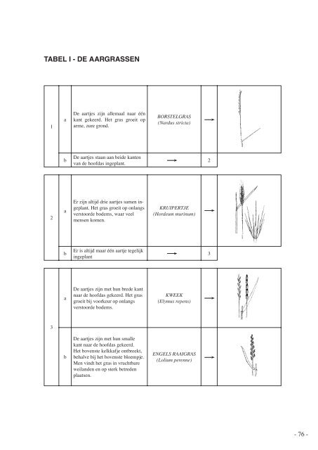 determineertabel grassen - V.O.B.