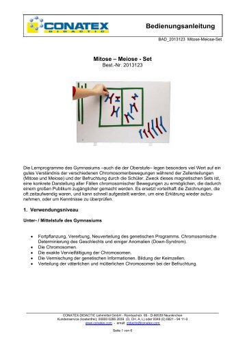 Mitose - Meiose, Demonstrationsmodell - CONATEX-DIDACTIC ...