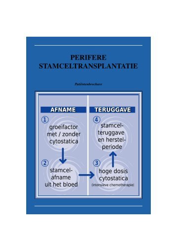 PERIFERE STAMCELTRANSPLANTATIE