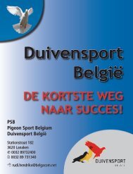 Duivensport België - Pitts