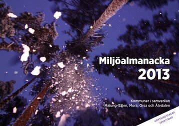 Miljöalmanackan 2013 - vamas