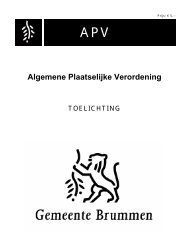 APV brummen toelichting.pdf - Aarhusportaal