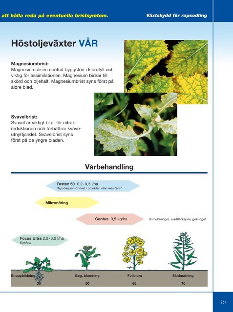 Ladda ner som PDF - BASF