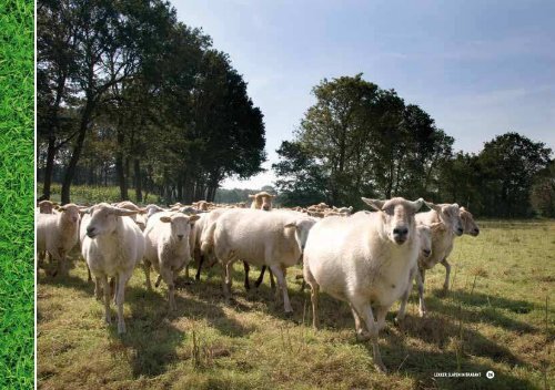 Lekker slapen in Brabant - GROEI.kans!