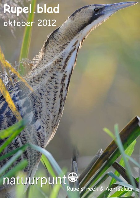 Rupel.blad - Natuur in Aartselaar