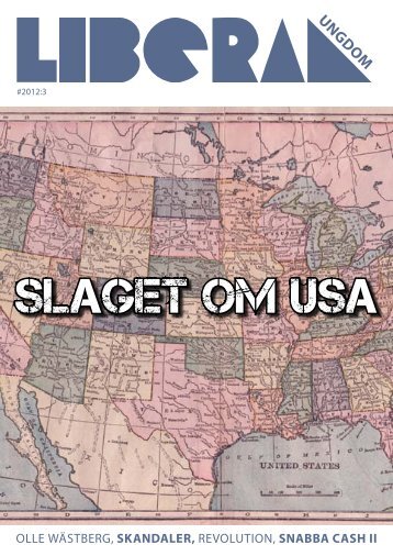 SLAGET OM USA - Liberala ungdomsförbundet