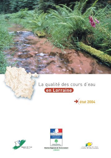 La qualité des cours d'eau en Lorraine, synthèse 2004