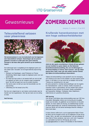 Teelt de grond uit zomerbloemen en vaste planten. LTO ...